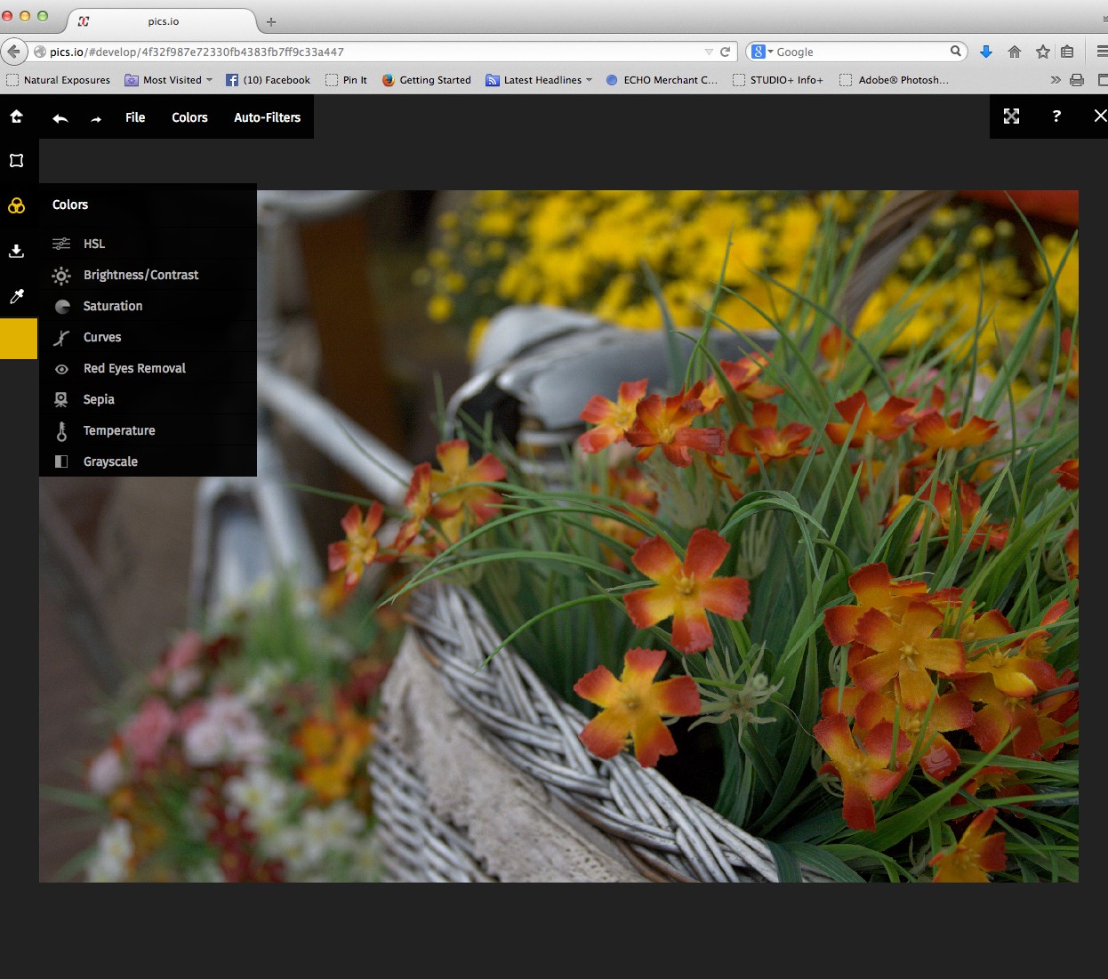 Pics.io – An Online Photo Converting, Editing, Sharing, and Storage Service for RAW Files