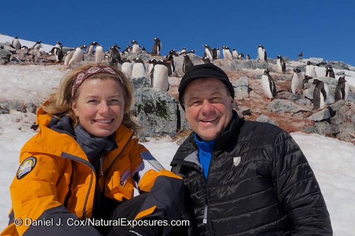 Seabourn Quest Cruise to Antarctica: Cuverville Island