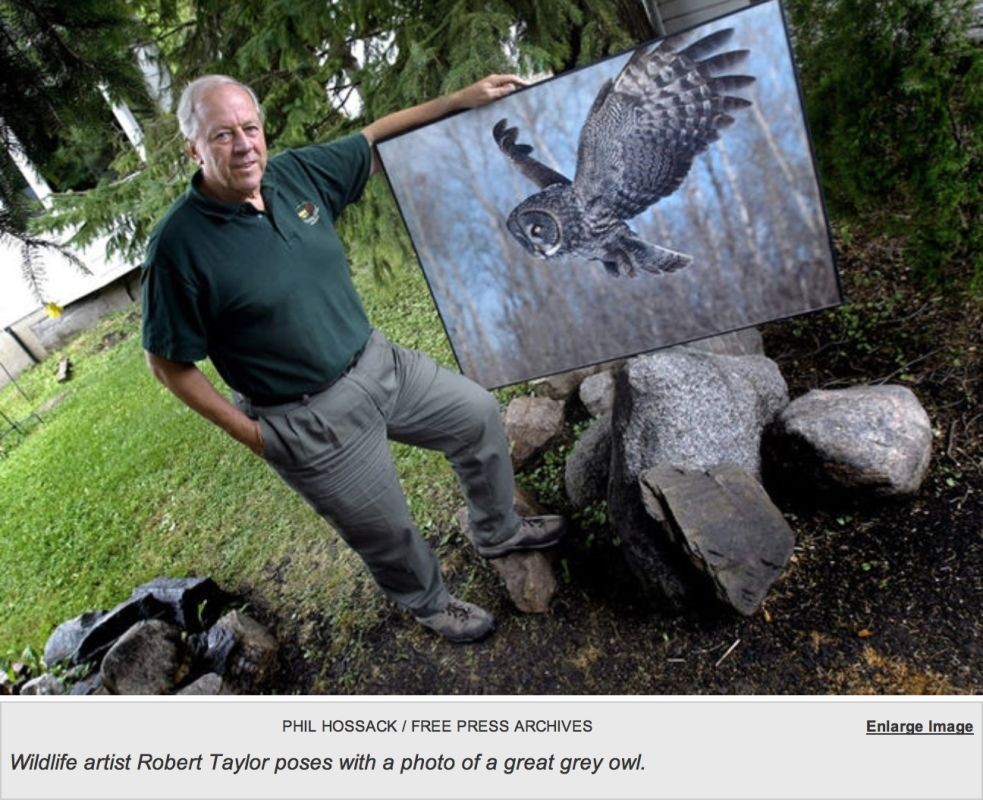 Robert Taylor had some of the most stunning great owl images ever captured. 