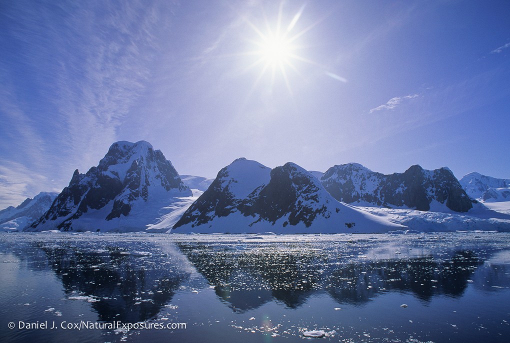 Hidden Antarctic Ecosystem