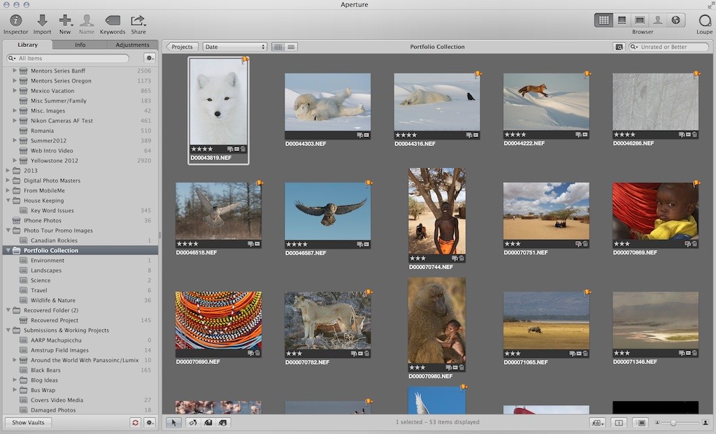 Apple Updates Camera RAW for Aperture and iPhoto