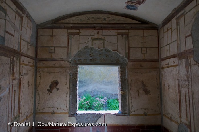 A single window looks out on to a garden in the ancient ruins of Pompeii. Lumix GX7 with 12-35mm F/2.8