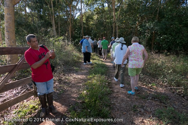 Our group makes its way down the forest trail as our host Mr. sits the gate behind us. Lumix FZ1000