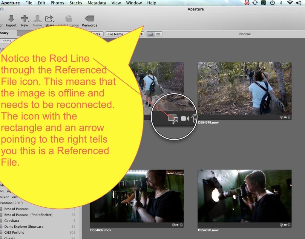 Aperture shows a samll thumbnail with an arro pointing to the right in the lower right corner of the thumbnail image. This signifies it is Referenced and Offline. 