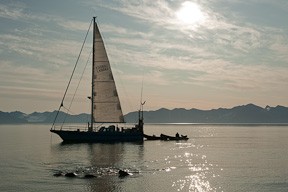 Our ship sails along in the midnight sun with walrus