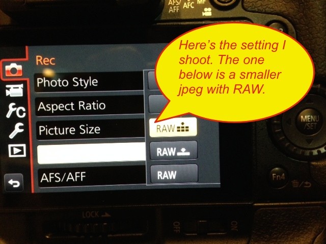 Photo of what you'll be looking for in the GH4 menu.