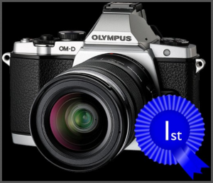 The Olympus OM-D EM-5 takes top honor in DPReview's survey of Best Camera of 2012