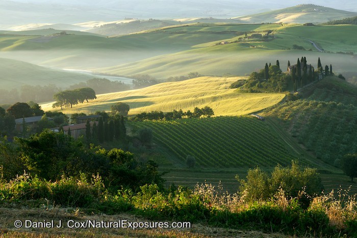 The rolling Tuscan countryside in early morning light. A light ground fog hangs in the distance. Lumix GH4 with  45-175mm lens