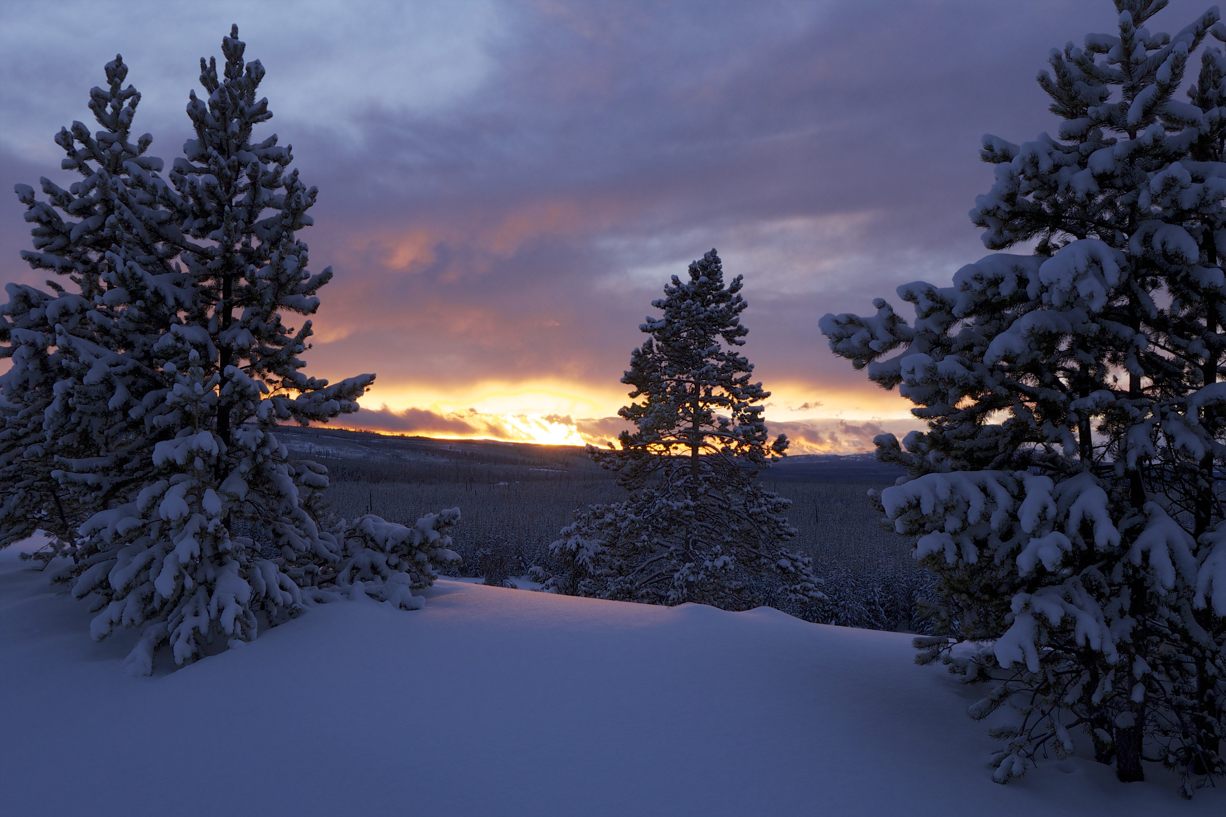 Yellowstone Photo Tour 2014 – Our First Day