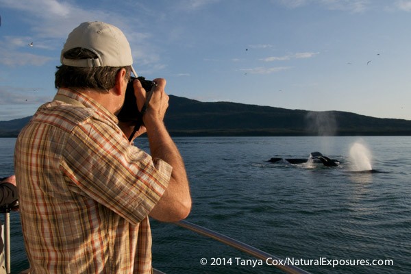 Dan photographing humpback whales in SE Alaska using the Lumix GH4 with the 100-300mm lens. Lumix GM1 with 12-32mm zoom
