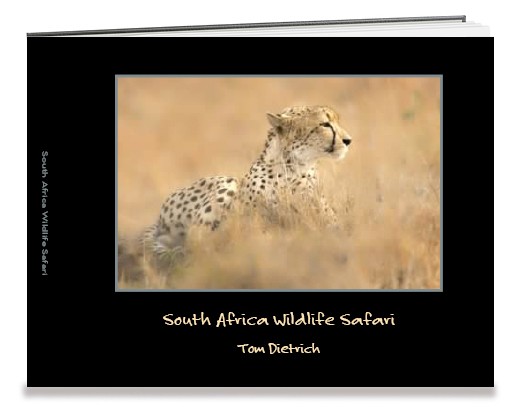 NE Explorer Tom Dietrich: South Africa Wildlife Safari