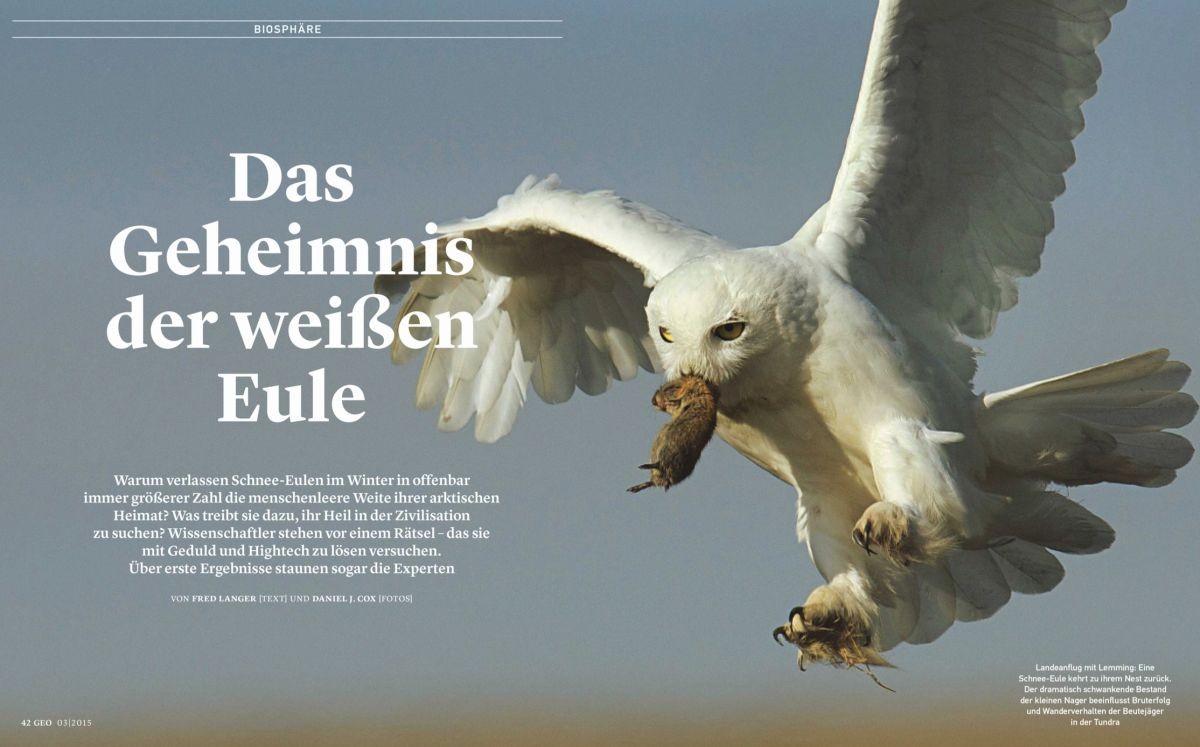 One of Dan's images that appears as a double page spread in the March issue of German Geo