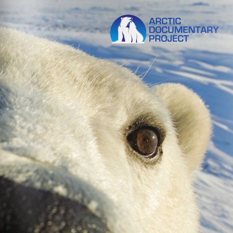 Take a look at the Arctic Documentary Project booklet that tells you more about the ADP mission.