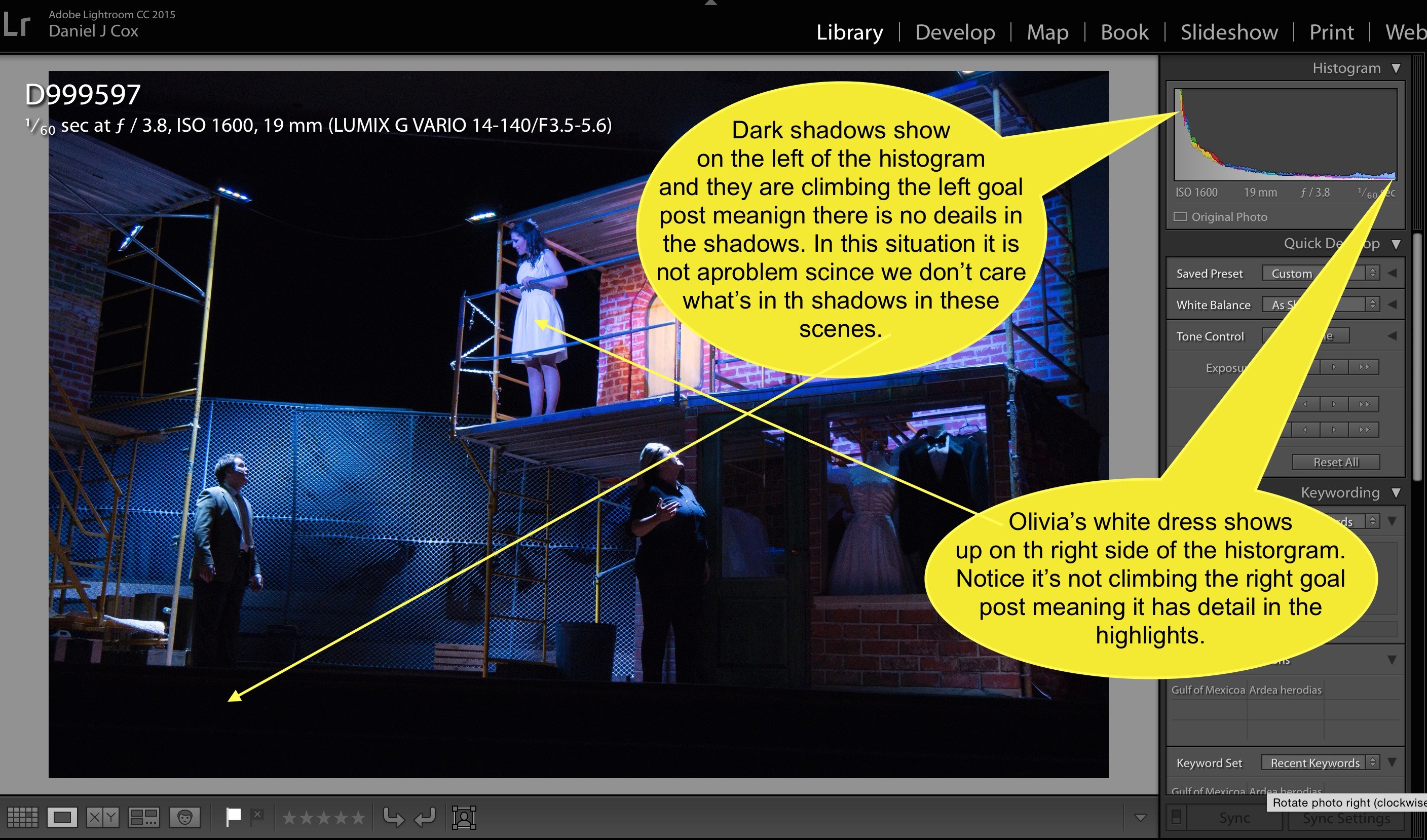 Notice the highlights and shadows as they are represented in the histogram within Lightroom. 