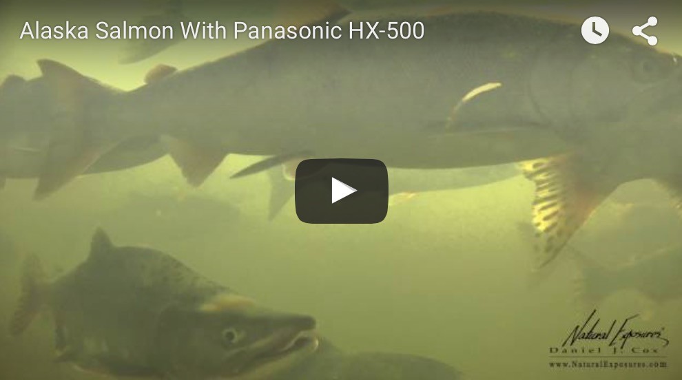 Panasonic Offering Three Year Warranty On Many New Lumix Products