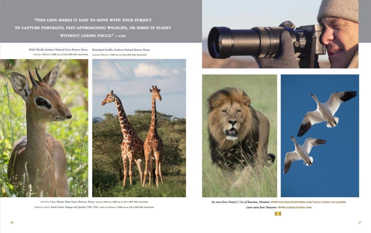 Summer issue of Nature's Best magazine showcasing my work with Lumix MFT cameras.