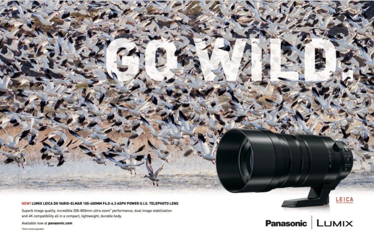 Daniel's favorite image from the Leica 100-400mm ad campaign that was shot in Bosque del Apache NWR in New Mexico. This peaceful advertisement was designed by Michelle Esgar in the art department of Panasonic US 