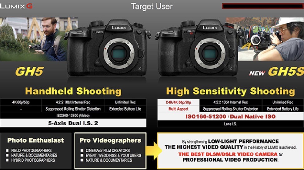 GH5s
