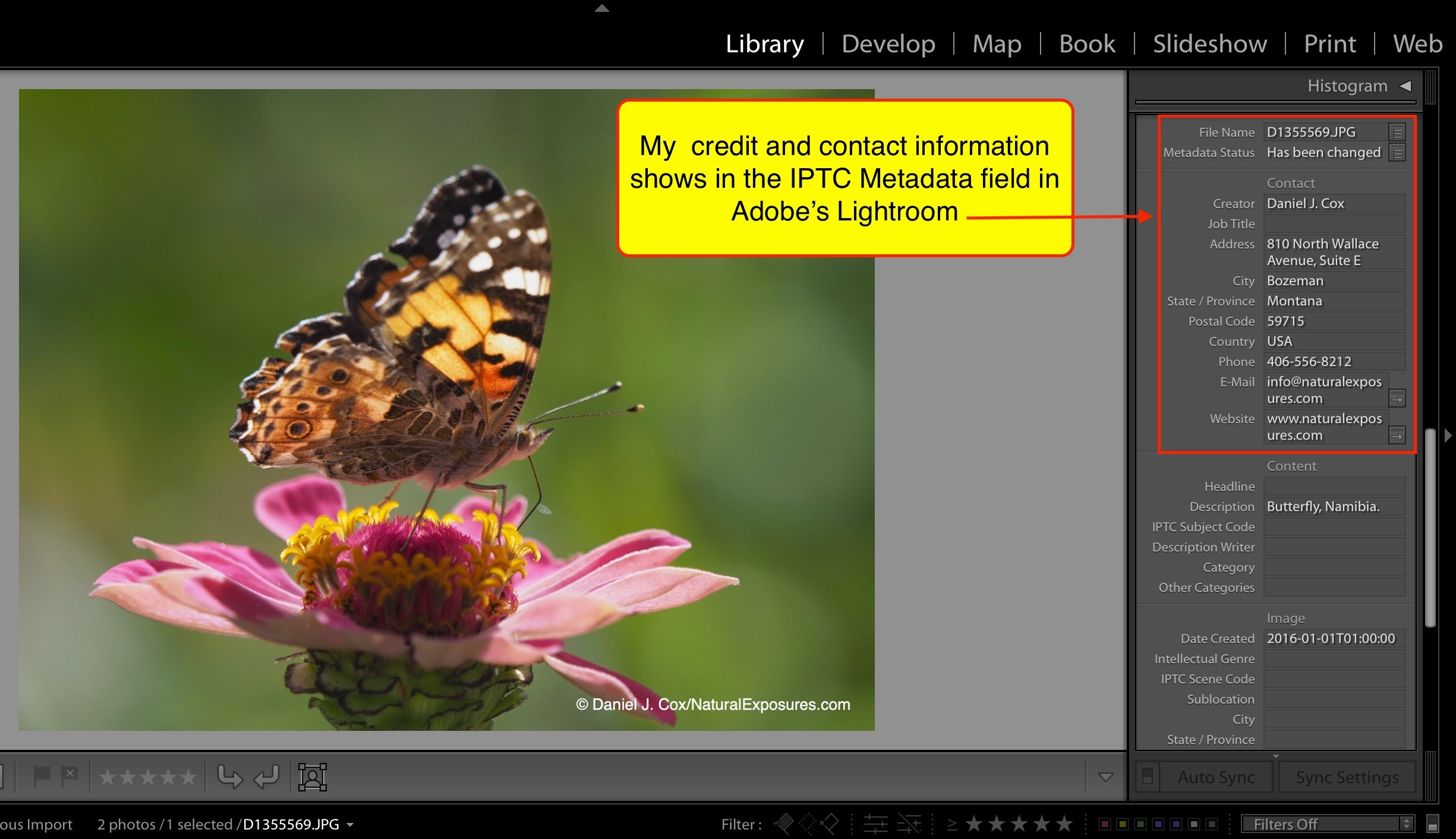 Google Supports Protecting Photographers’ Pictures