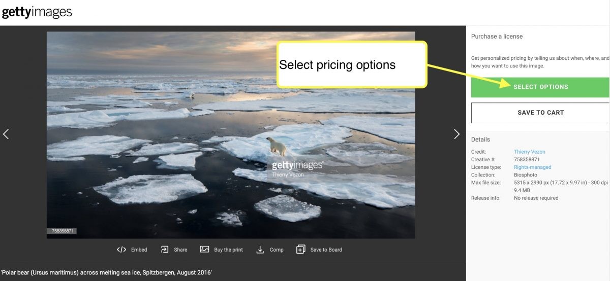 A stock photo can still have extreme cash value