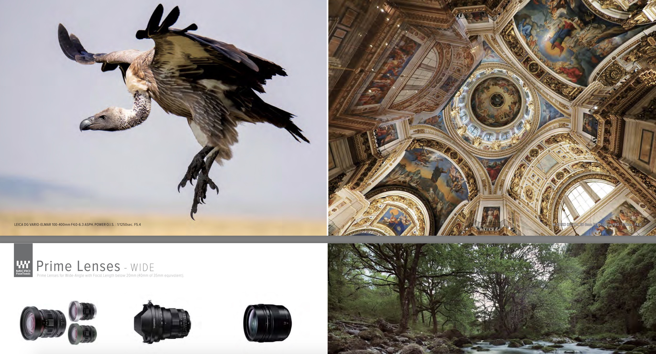 The Telephoto Power of Micro Four Thirds