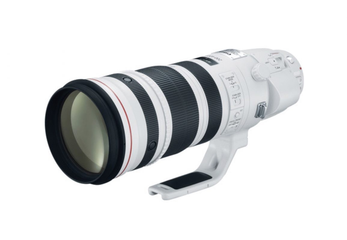 Sony 200-600mm