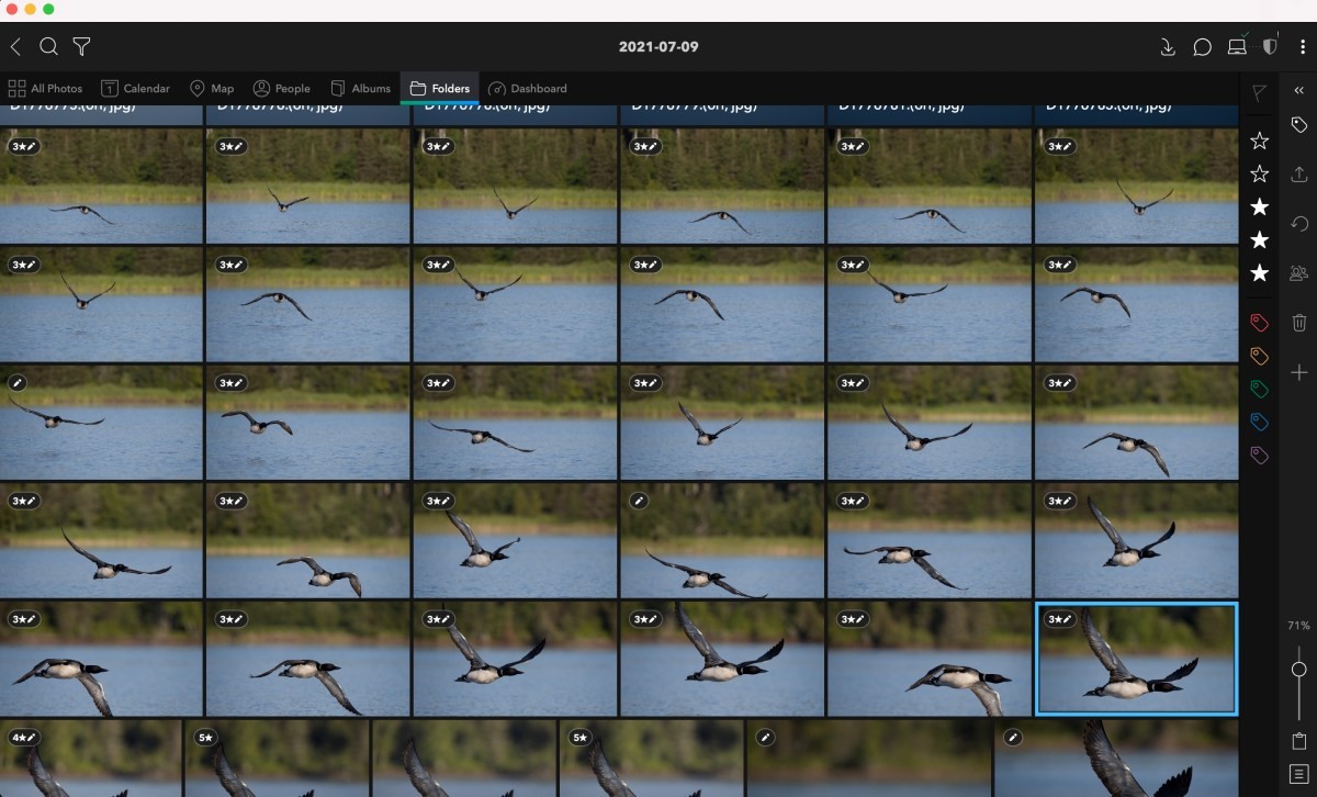 This is a series of images of a common loon starting out flying straight at me. 