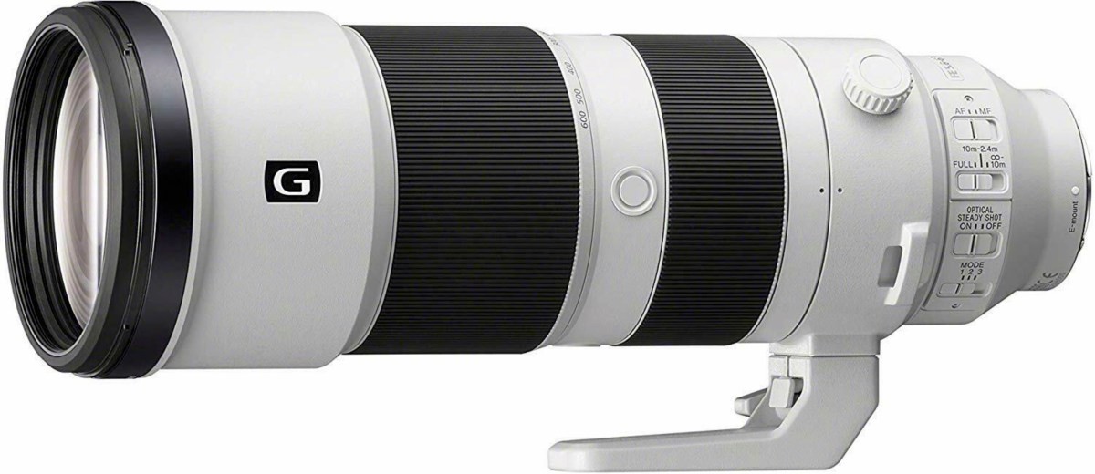Sony A9 with 200-600mm