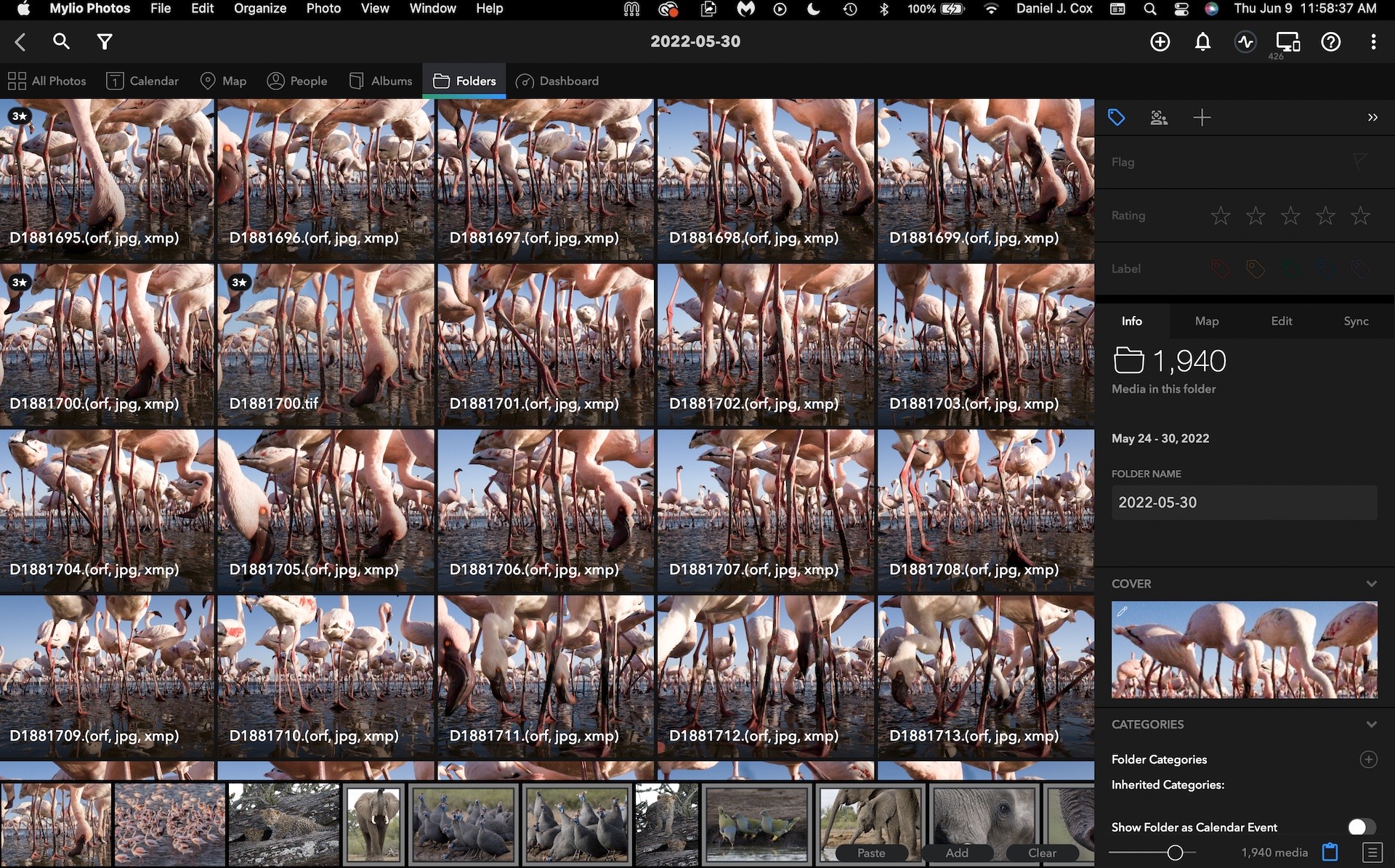Mylio Photos Update Is Here