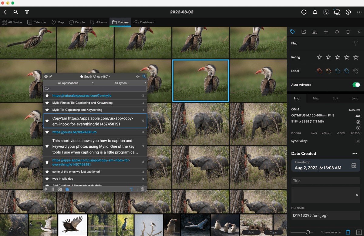 Mylio Photos Tip-Captioning and Keywording
