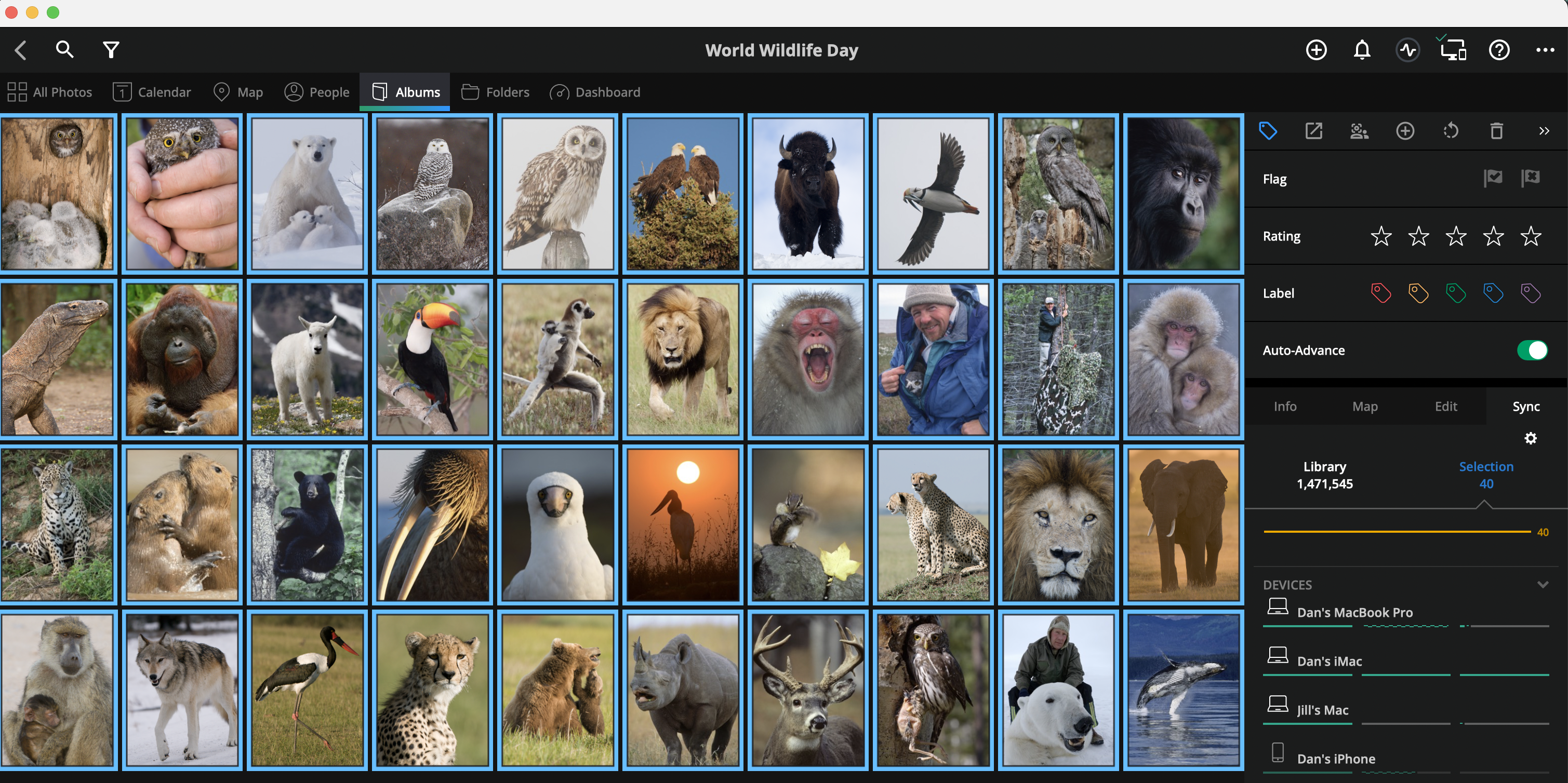 Create a photo reel for Instagram and Facebook