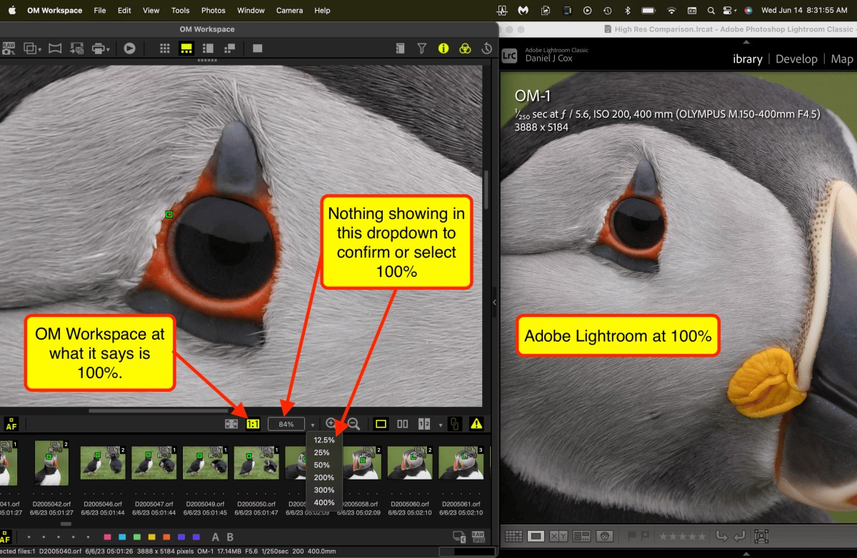 Software for checking sharpies of birds flight