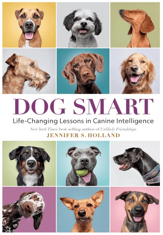 Dog Smart