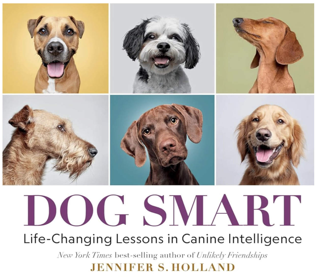 Dog Smart