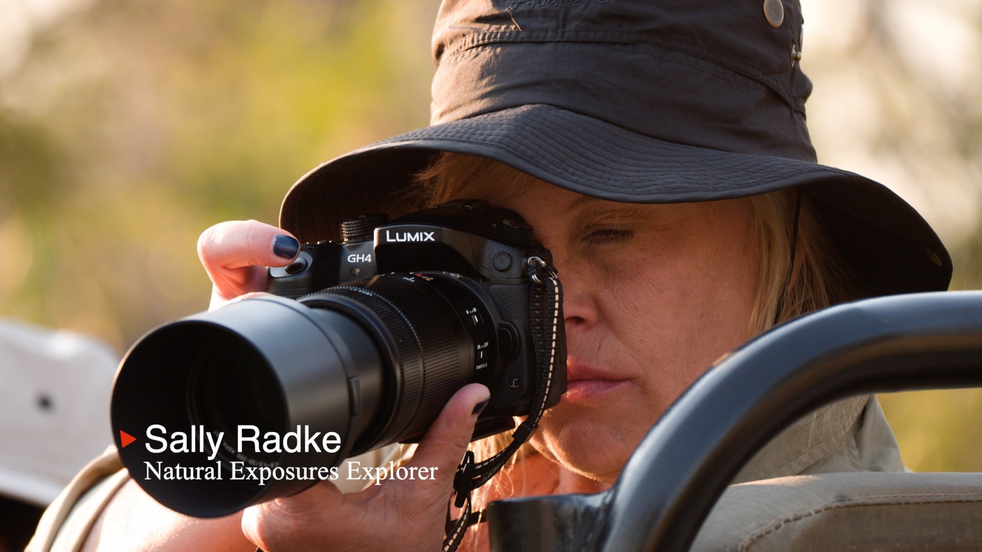 Comparing Sony, Olympus, Lumix Telephoto Sharpness