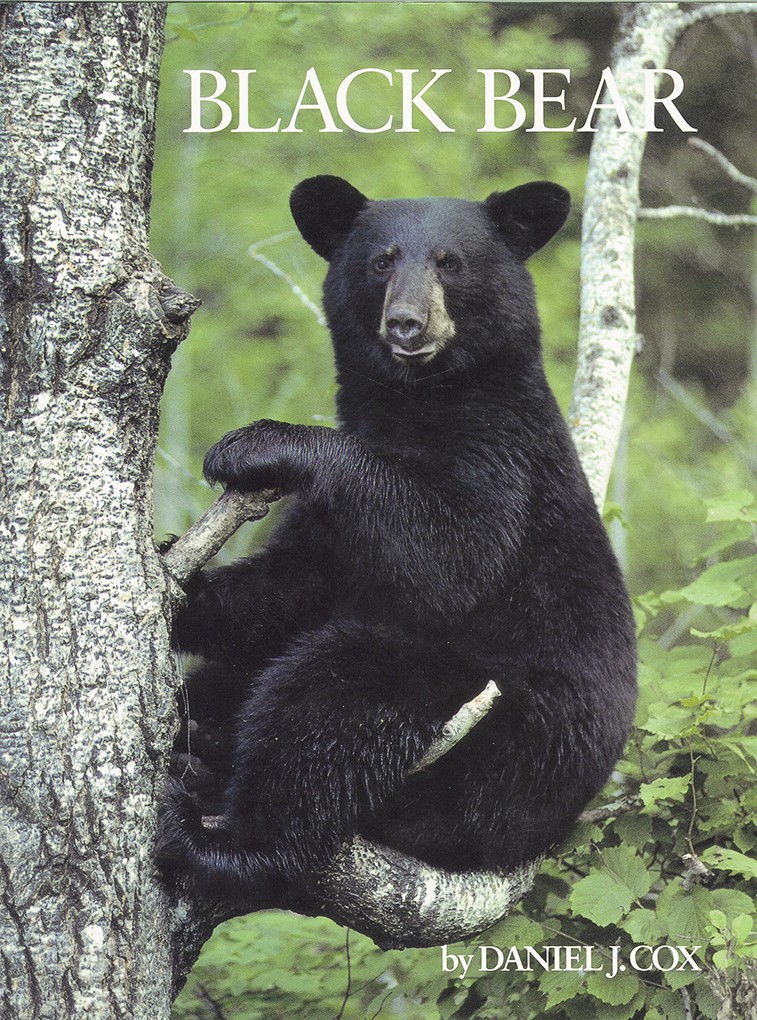 Cover of Black Bear