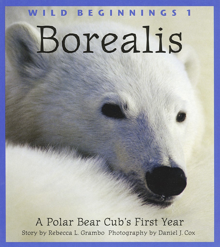 Cover of Borealis