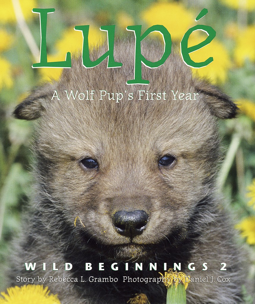 Cover of Lupé