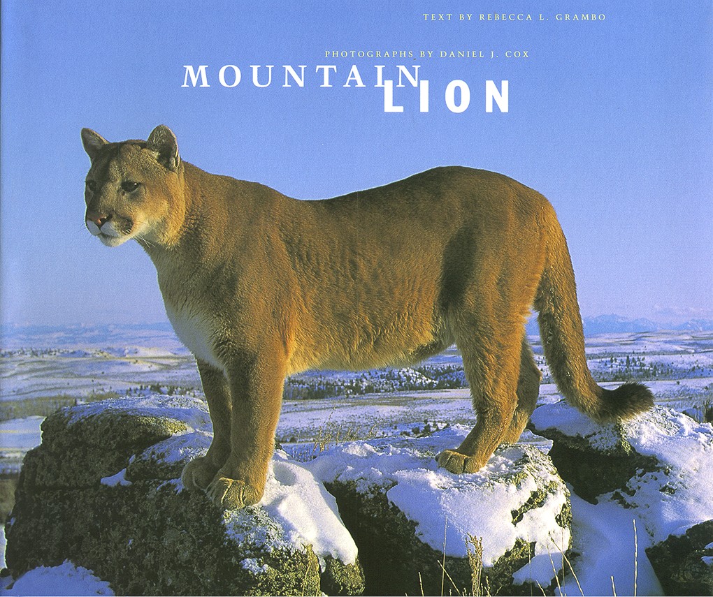 Cover of Mountain Lion