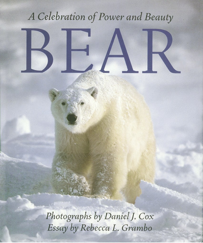 Cover of Bear: A Celebration of Power and Beauty
