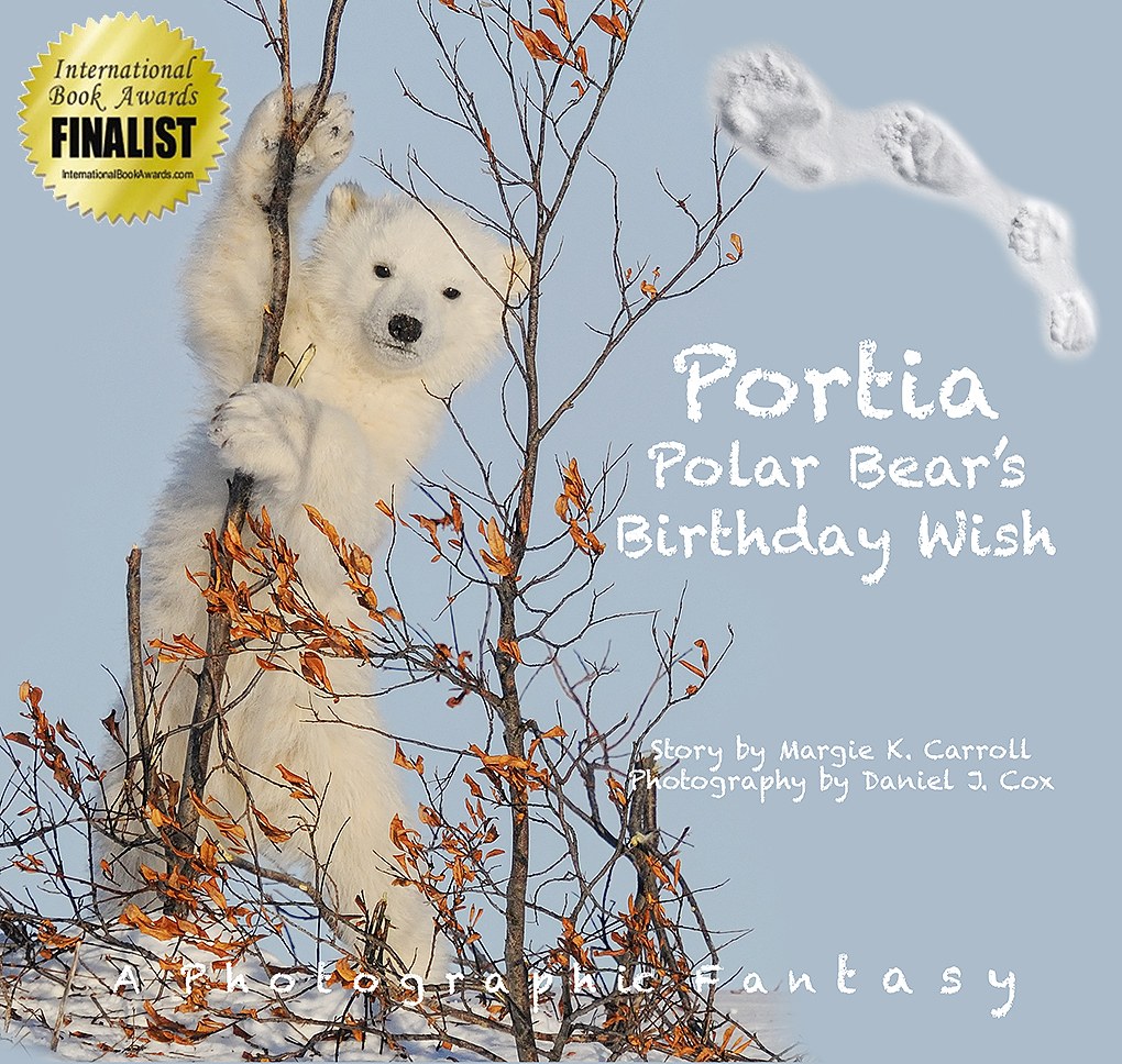 Cover of Portia Polar Bear’s Birthday Wish