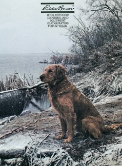 1982 Eddie Bauer