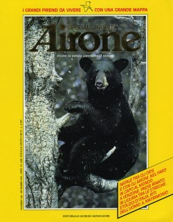 1992 December Airone