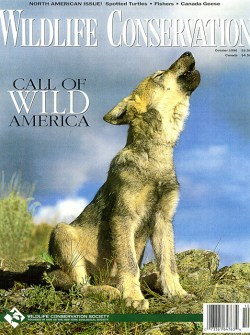 1996 October Wildlife Conservation