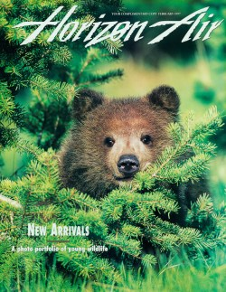 1997 February Horizon Air