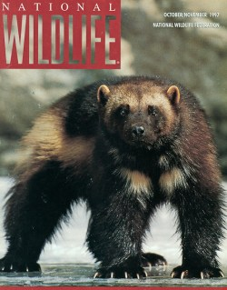 1997 October/November National Wildlife Federation