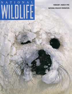 1998 February/March National Wildlife Federation