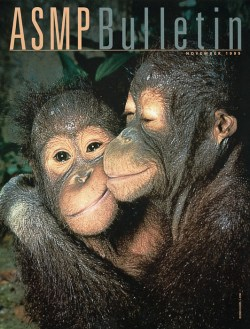 1999 November ASMP Bulletin