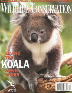 1999 October Wildlife Conservation