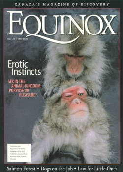 2000 May Equinox